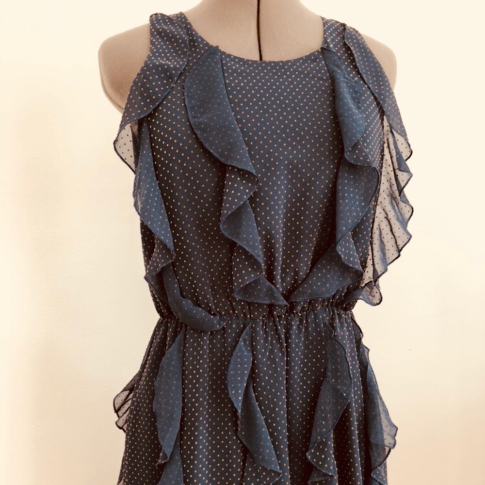 Stunning Anthropologie Maxi Dress